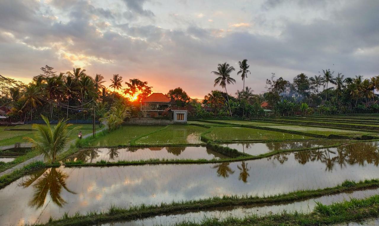 Umah Bali Villa 우붓 외부 사진